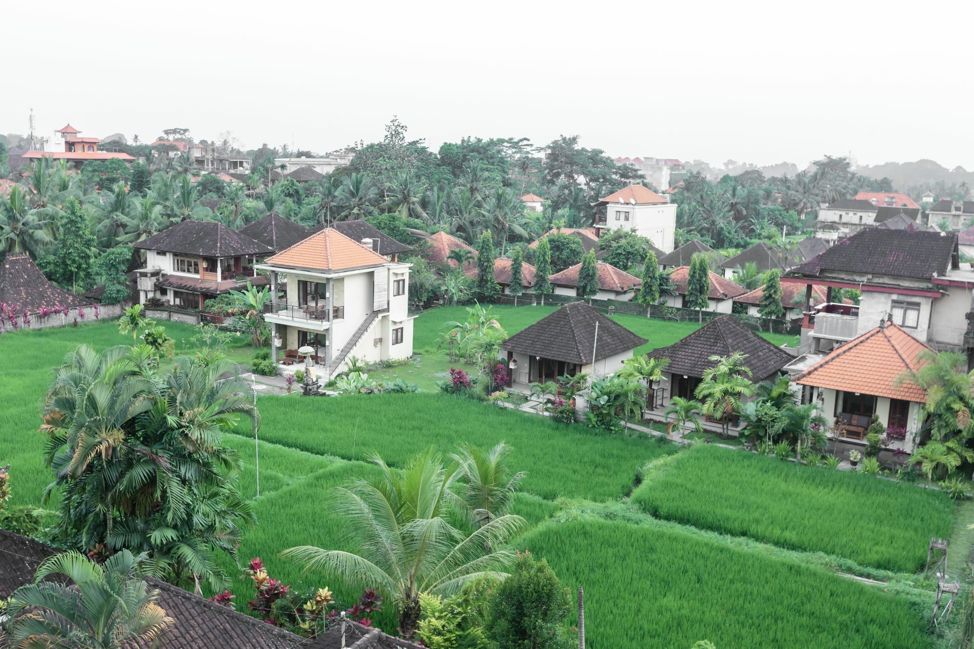 Warji House 2 Bisma Otel Ubud Dış mekan fotoğraf